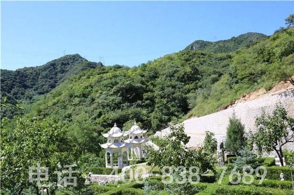 九公山长城纪念林一片绿意